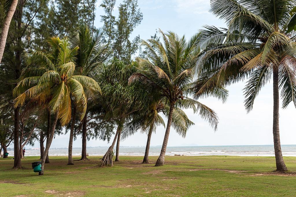 Nusantara Mattwaddien M.S Kota Kinabalu Buitenkant foto